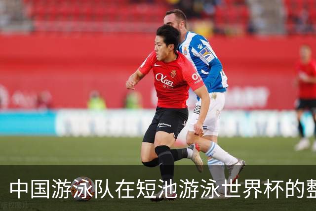 中国游泳队在短池游泳世界杯的整体表现如何