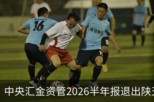 中央汇金资管2026半年报退出陕天然气与深圳燃气前十大股东名单！