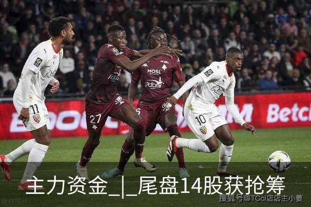 主力资金 | 尾盘14股获抢筹