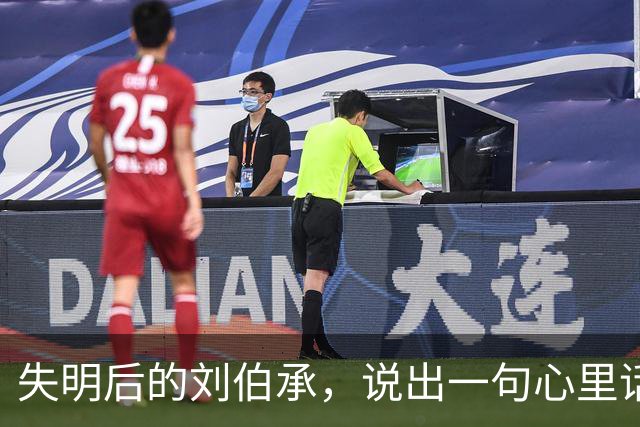 失明后的刘伯承，说出一句心里话：我征战半生，只服一人