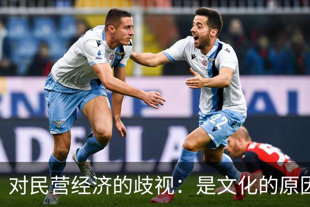 对民营经济的歧视：是文化的原因，还是意识形态的推动