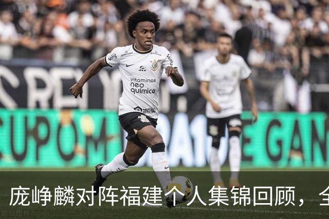 庞峥麟对阵福建个人集锦回顾，全场砍下25分7助攻