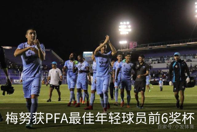梅努获PFA最佳年轻球员前6奖杯