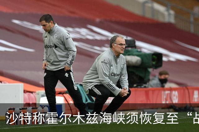 沙特称霍尔木兹海峡须恢复至“战前状态”