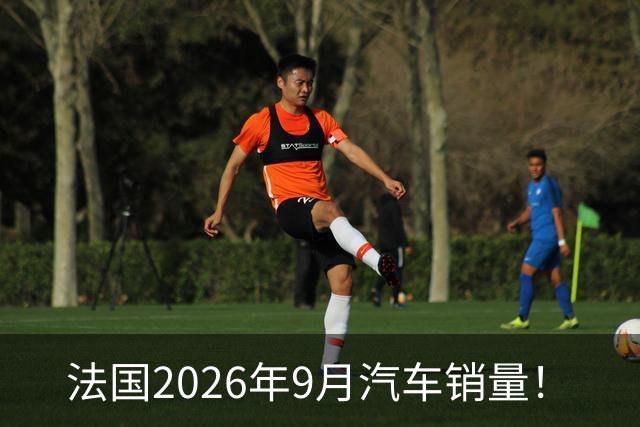 法国2026年9月汽车销量！