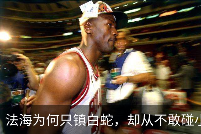 法海为何只镇白蛇，却从不敢碰小青？因为小青的背景太过恐怖