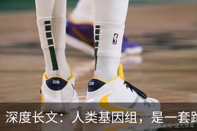 深度长文：人类基因组，是一套跑了38亿年的史诗级屎山代码？
