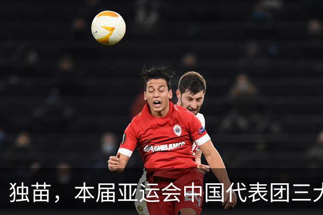 独苗，本届亚运会中国代表团三大球项目仅女排夺冠