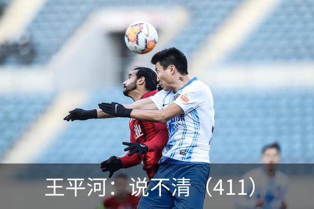 王平河：说不清（4/11）