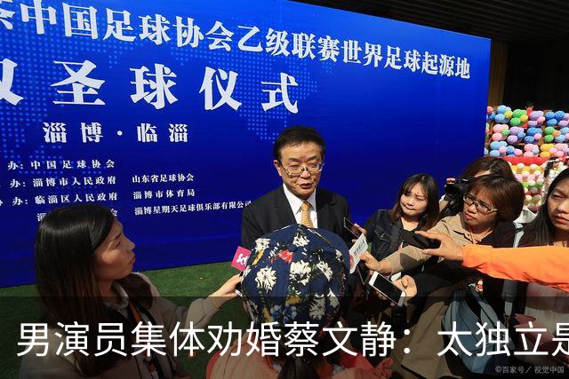 男演员集体劝婚蔡文静：太独立是缺点？看完63岁叶童的现状，终于懂了成年人最狠的真相