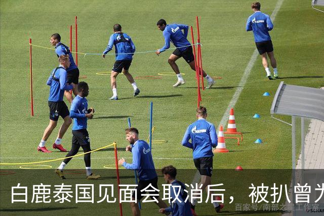 白鹿泰国见面会取消后，被扒曾为缅北拍宣传片，知情人爆更多内幕