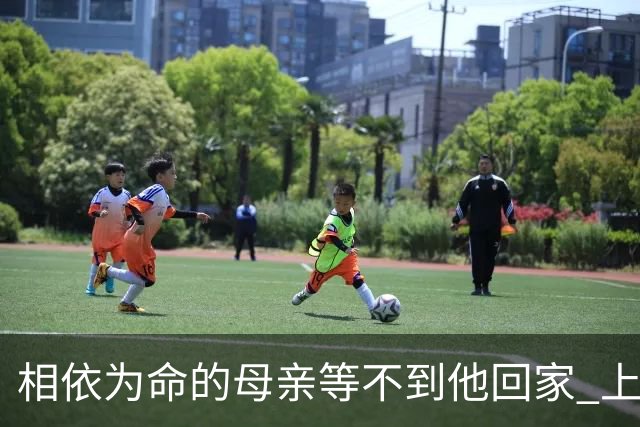 相依为命的母亲等不到他回家 上海失联老师的两通未接电话 看哭全网