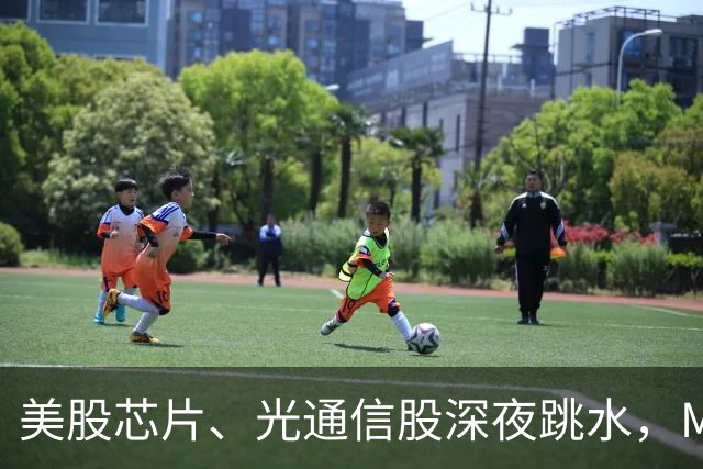 美股芯片、光通信股深夜跳水，Meta市值蒸发超6600亿元