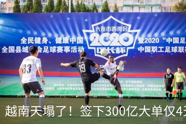 越南天塌了！签下300亿大单仅4天，中国新出一项公告，项目或流产