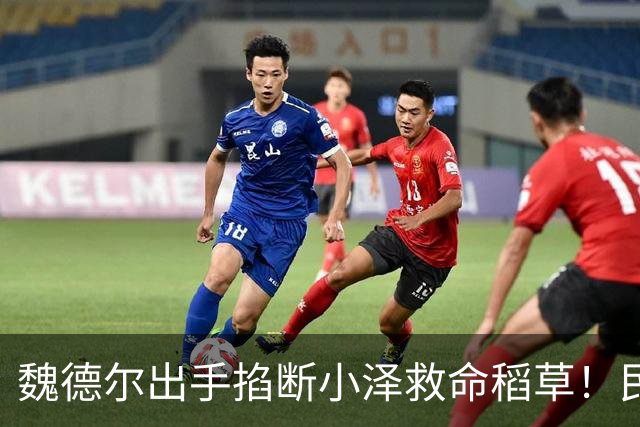 魏德尔出手掐断小泽救命稻草！民调反超基民盟，德国要变天？