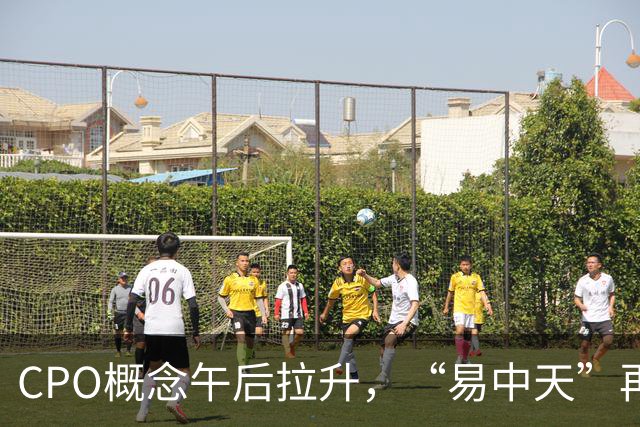 CPO概念午后拉升，“易中天”再密集回应：在手订单充足、经营正常